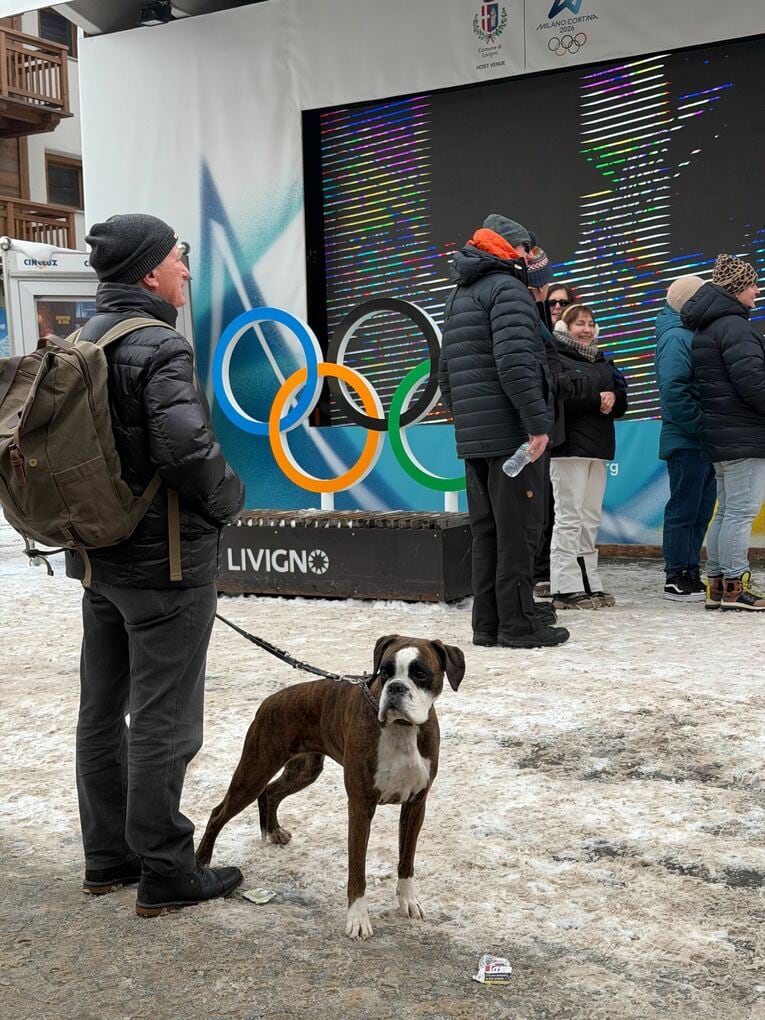 リビーニョで見かけたかわいい犬！　©Nanae Suzuki