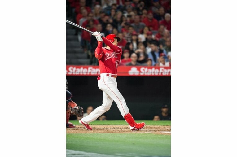 2018年©Nanae Suzuki