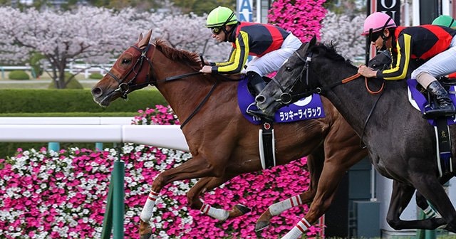 競馬　アイドルホース　ラッキーライラック大阪杯 2点セット やっぱりデムーロとオルフェだった。ラッキーライラックが大阪杯を完勝