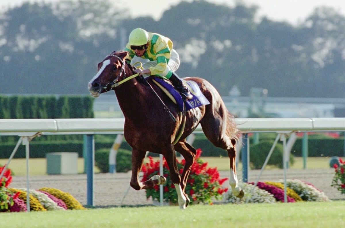 好評安い【貴重】マヤノトップガン 97年天皇賞春 馬券 おまけ付き 趣味