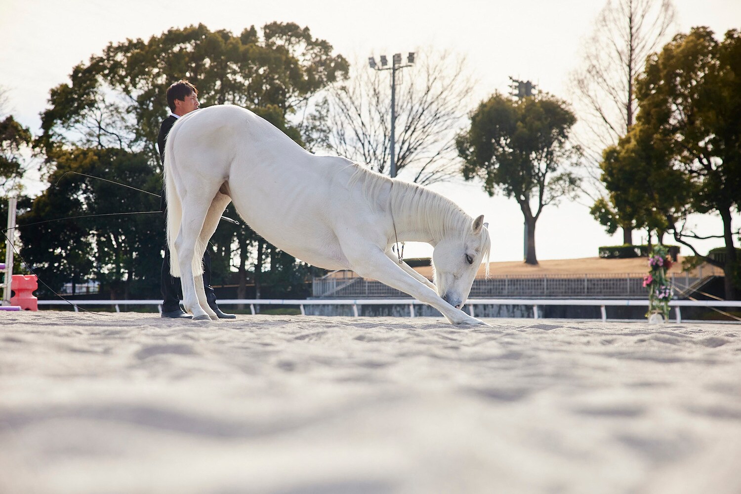 ©︎Yusuke Nakanishi