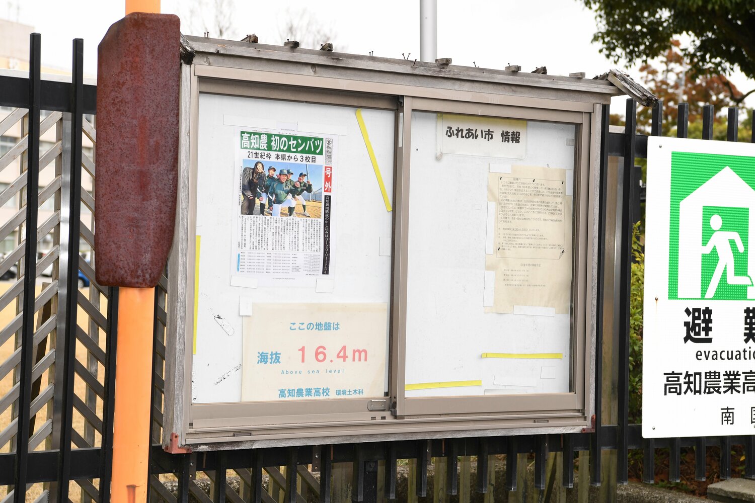 「『野球経験ないんですが、野球部に入れますか?』という問い合わせがあったんです」 ©Kota Inoue