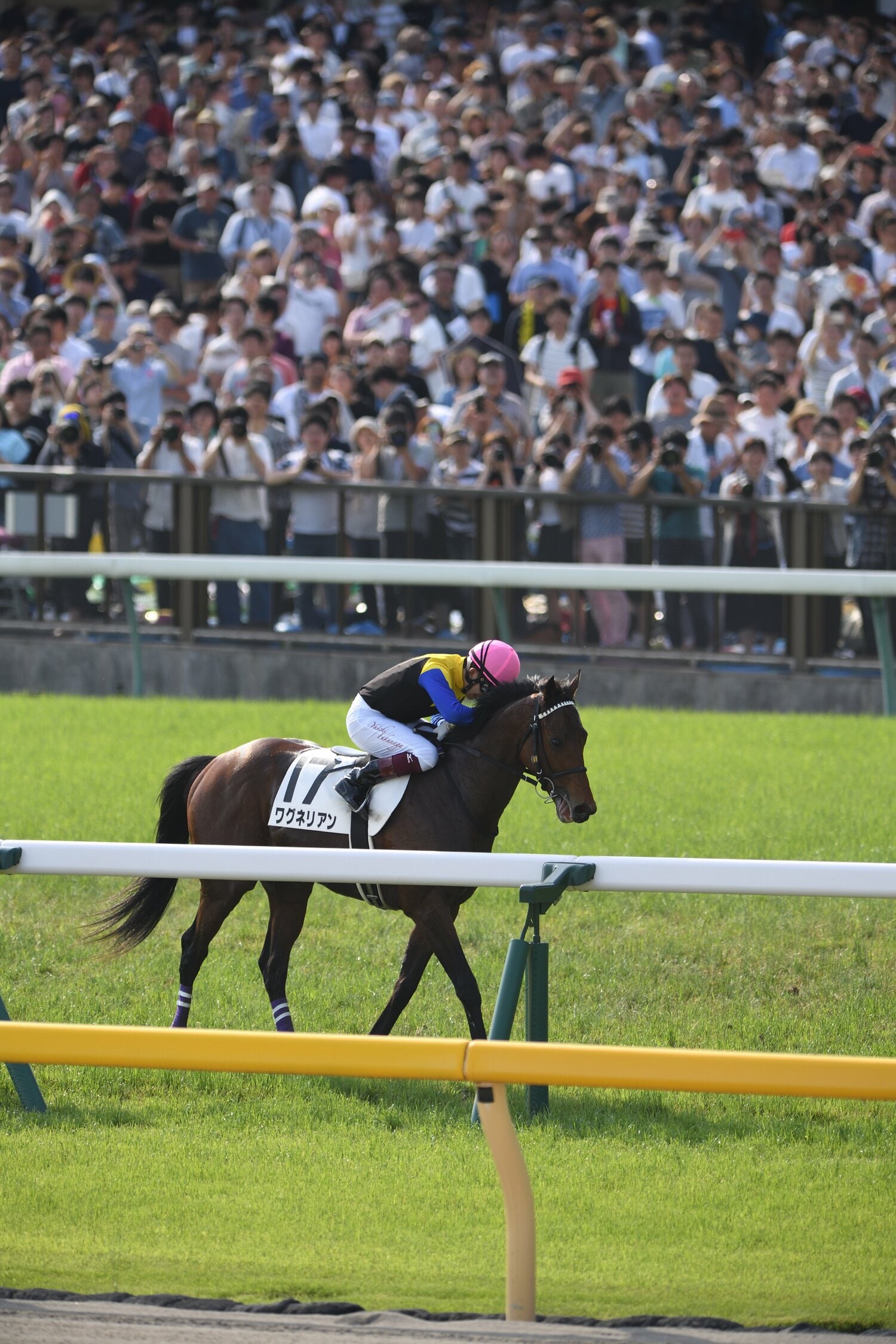 内ラチ側から撮影された一枚。ワグネリアンの背中で涙する福永とファンを同時に収め、当時の臨場感を伝えている