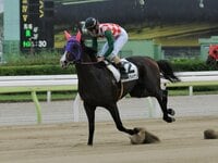 追悼》タイキシャトルは日本競馬史上もっとも偉大なマイラーだった