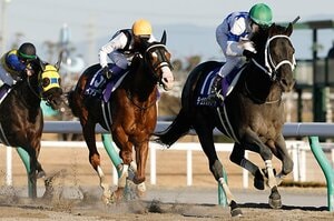 【必読】チャンピオンズカップをチュウワウィザードが制す！ 「砂の絶対王者」クリソベリル、“国内初敗戦”の原因は？