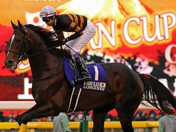キタサンブラックが年度代表馬に！ディープ以来の「客を呼べる馬」。＜Number Web＞ photograph by Yuji Takahashi
