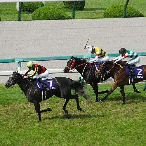 クロノジェネシスは「正直、宝塚記念にも間に合わないと思いました