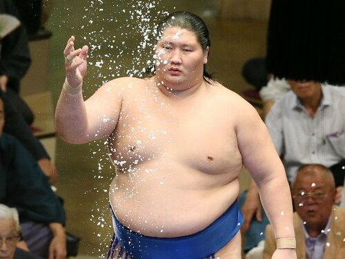 メル55507です。照ノ富士 メル55507様 専用です。照ノ富士 - メルカリ