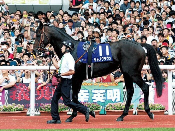 猛暑だから人馬に優しく。夏競馬のパドック改革案。～あんな暑い場所を15分も回るのは……～＜Number Web＞ photograph by AFLO