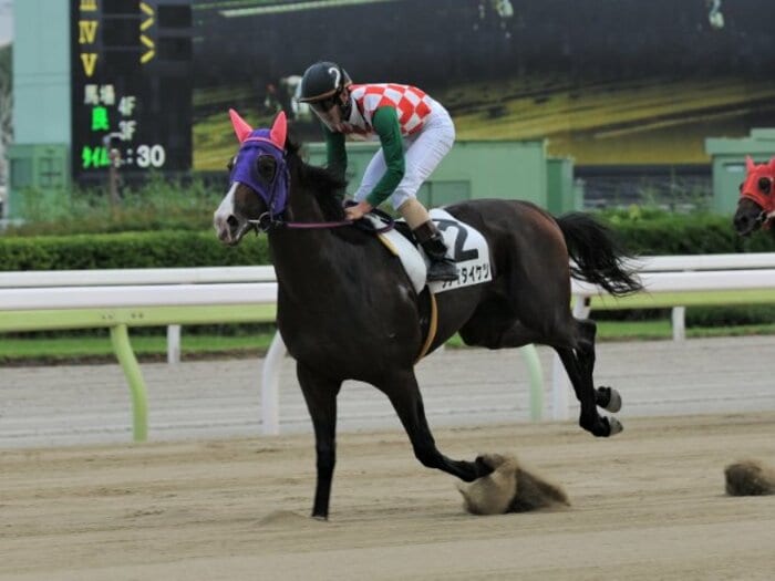 中央挑戦シテイタイケツ“異次元の末脚”は本物か？「同じような勝ち方」のエルコンドル、大井の伝説ハイセイコーら“衝撃デビュー”を検証＜Number Web＞ photograph by TCK（東京シティ競馬）