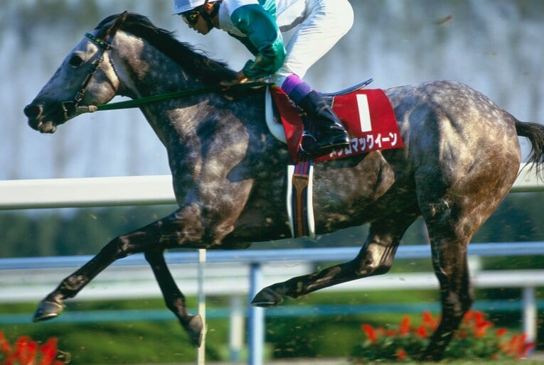 メジロマックイーンは古馬戦線で主役を張り続けた　©Keiji Ishikawa