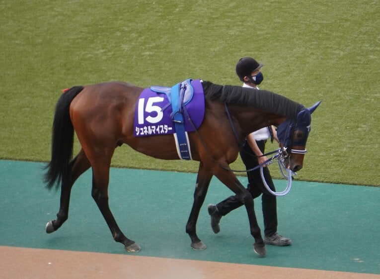 NHKマイルパドックでのシュネルマイスター　©Satoshi Hiramatsu