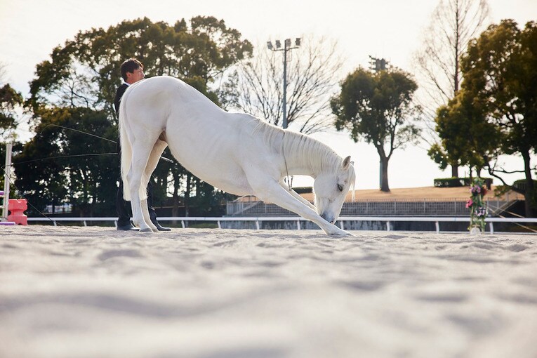 ©︎Yusuke Nakanishi