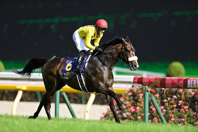 オークス直前に顔面を蹴られて放馬…発走“15分の大遅延”はなぜ起きたのか？「多くの馬の戦いは、スタート前に終わってしまった」(20)