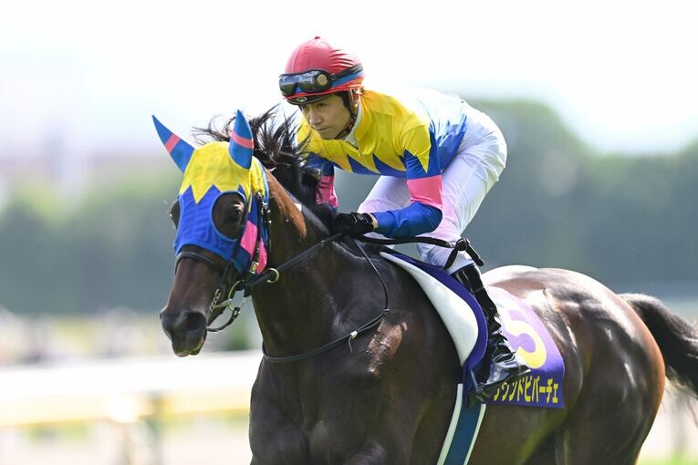 輪乗りで他馬に顔を蹴られ、放馬したサウンドビバーチェ　©Keiji Ishikawa