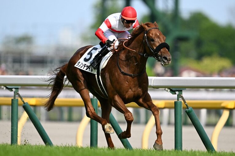 日本ダービーを制したダノンデサイルと横山典弘。56歳の名手が皐月賞で下した“英断”が、最高の結果をもたらした ／ photograph by Keiji Ishikawa