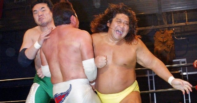FMW 冬木弘道 完全限定フィギュア FMWプロレス フィギュア2体セット
