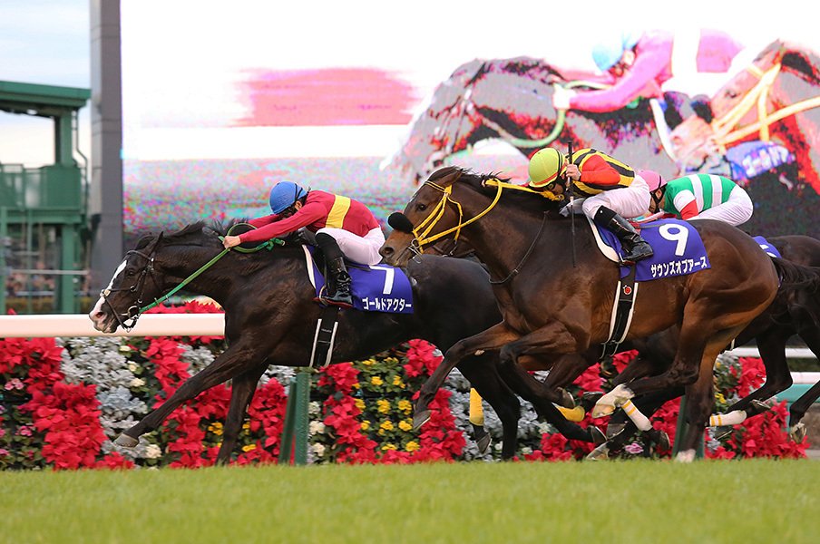 2015年のキーワードは「急成長」か。有馬記念で振り返る競馬界の1年。＜Number Web＞ photograph by Yuji Takahashi