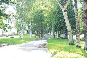 西野緑道を歩けば、荒んだ心も浄化される