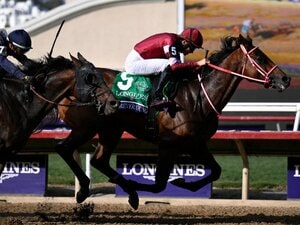 「記者投票が物議をかもすことも」フォーエバーヤングは年度代表馬に選ばれるのか？ 歴史的名馬がズラリ…米BCクラシック制覇の“圧倒的な価値”