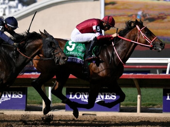 「記者投票が物議をかもすことも」フォーエバーヤングは年度代表馬に選ばれるのか？ 歴史的名馬がズラリ…米BCクラシック制覇の“圧倒的な価値”＜Number Web＞ photograph by Getty Images