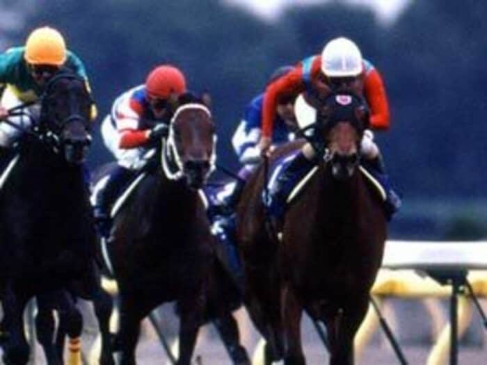 実力を見せつけた今年の牝馬たち。＜Number Web＞ photograph by Shigeyuki Nakao