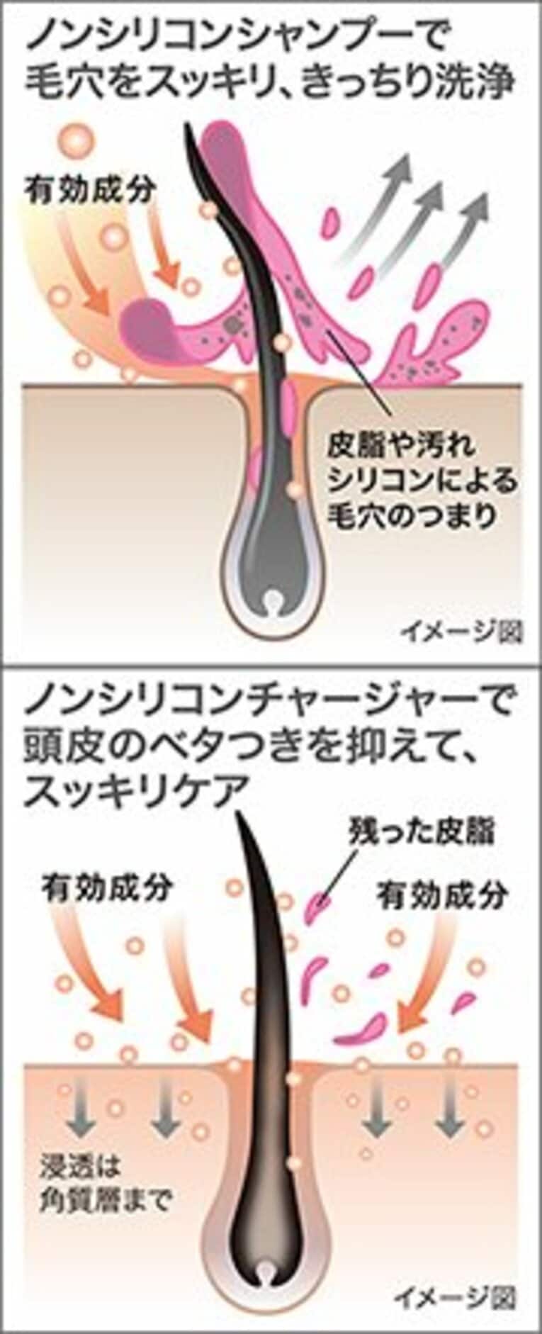 リガオスのシャンプー＆チャージャーはシリコンを配合していないノンシリコン処方。毛穴に詰まった汚れや皮脂をすっきり除去し、有効成分の働きによって理想的な頭皮環境に整える。 