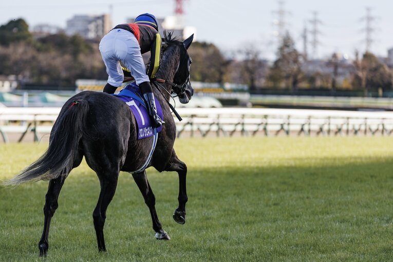 《有馬記念》エフフォーリアと横山武史は“とにかく強かった”…苦境の若武者を救った一言「武史が一番上手いから、信じて乗ってこい」(8)