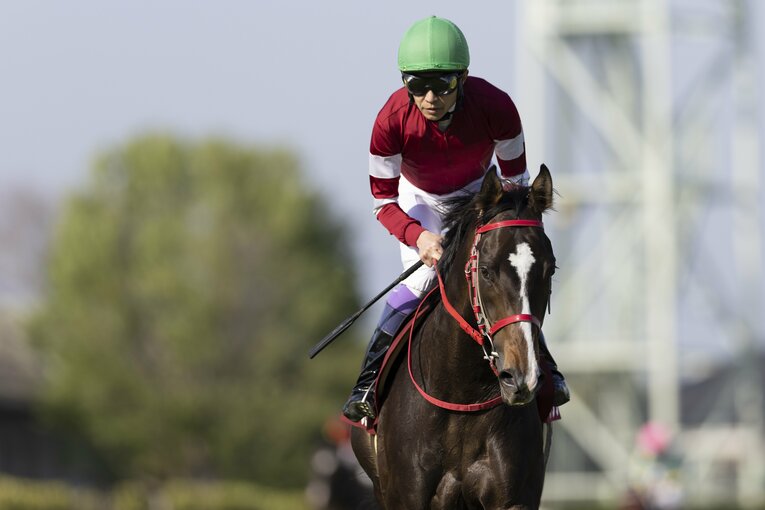 武豊を背に4月のニュージーランドトロフィーを逃げ切ったジャングロ　©Photostud