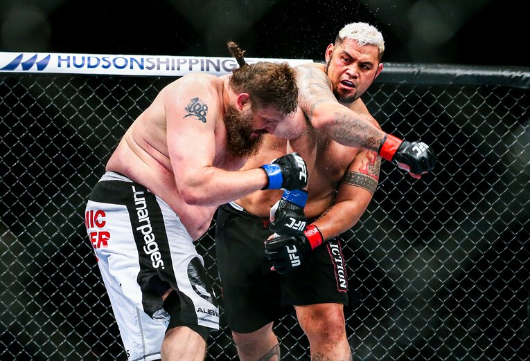 マーク・ハントvs.ロイ・ネルソン　©Susumu Nagao