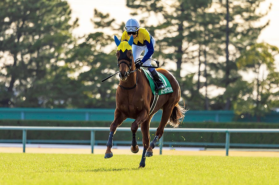 「海外を見ても類例は…」 武豊(52)が前人未到の36年連続重賞勝利で、“次に達成しそうな記録”とは?<Number Web> photograph by Photostud