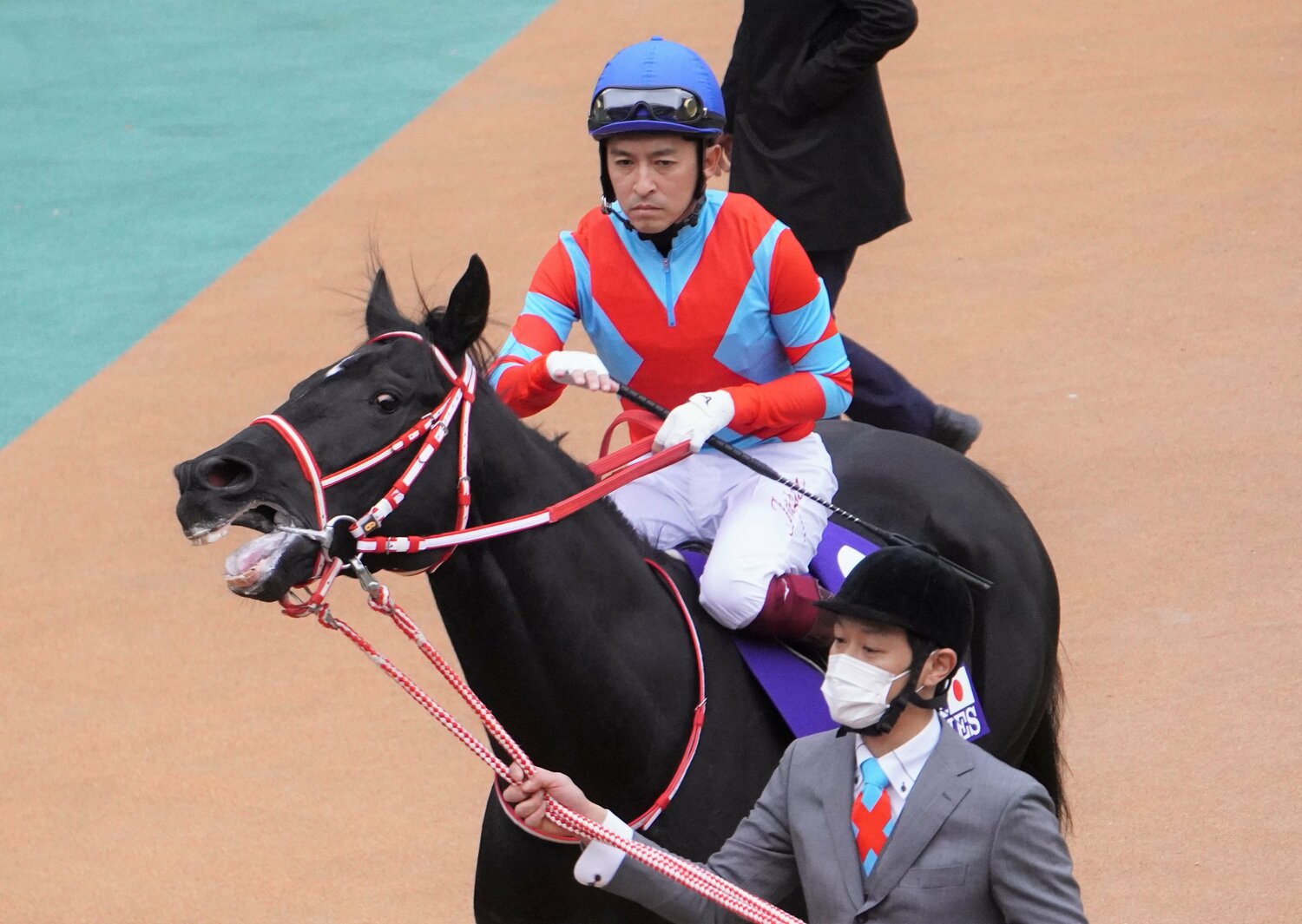 20年ジャパンCのパドックでのコントレイル　©Satoshi Hiramatsu