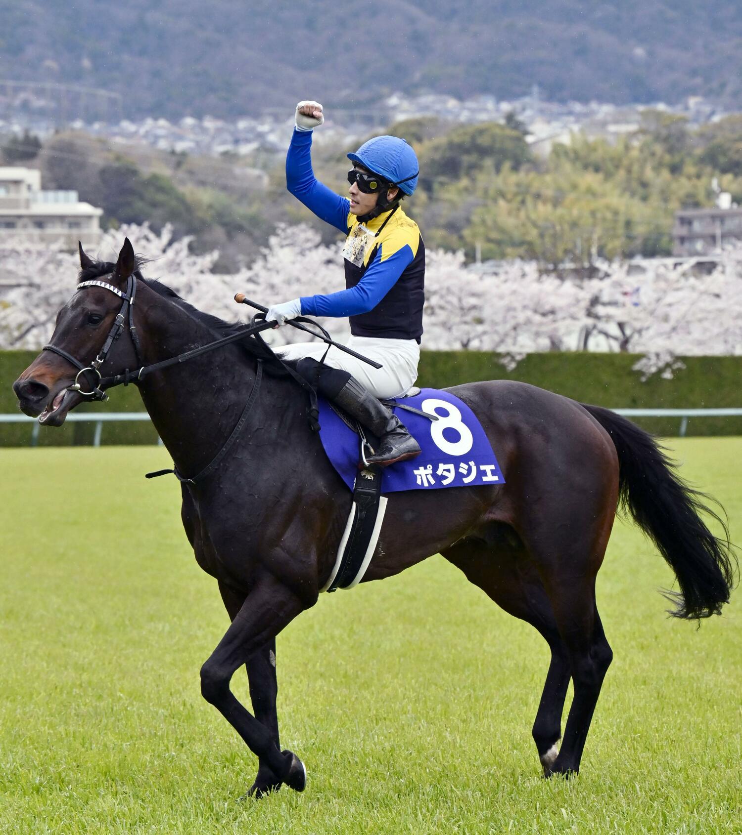GIの大舞台で重賞初制覇となったポタジェ。鞍上の吉田隼人はガッツポーズ　©KYODO