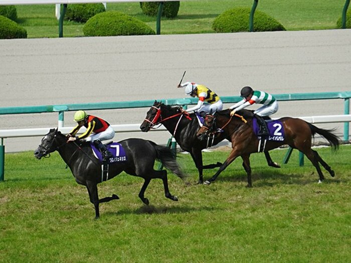クロノジェネシスは「正直、宝塚記念にも間に合わないと思いました」（斉藤師）… 凱旋門賞でも欧州勢に劣らない名牝の実力＜Number Web＞ photograph by Satoshi Hiramatsu