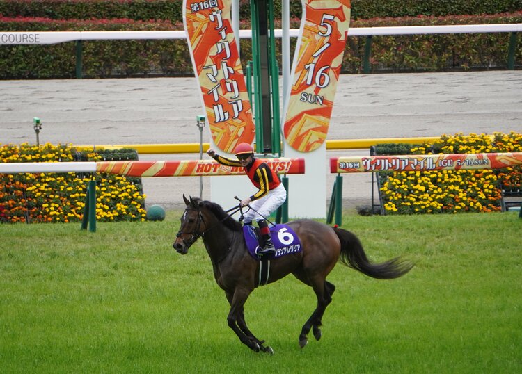 3／3）グランアレグリアは“行きたがる馬”から“穏やかな馬”に？ 圧巻の