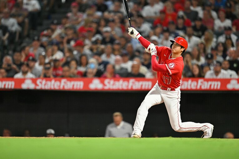 大谷29号の連続写真（5／9） ©Nanae Suzuki