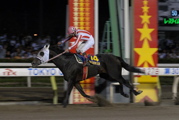 2007年、ボンネビルレコードで3度目の帝王賞制覇　協力：TCK（東京シティ競馬）