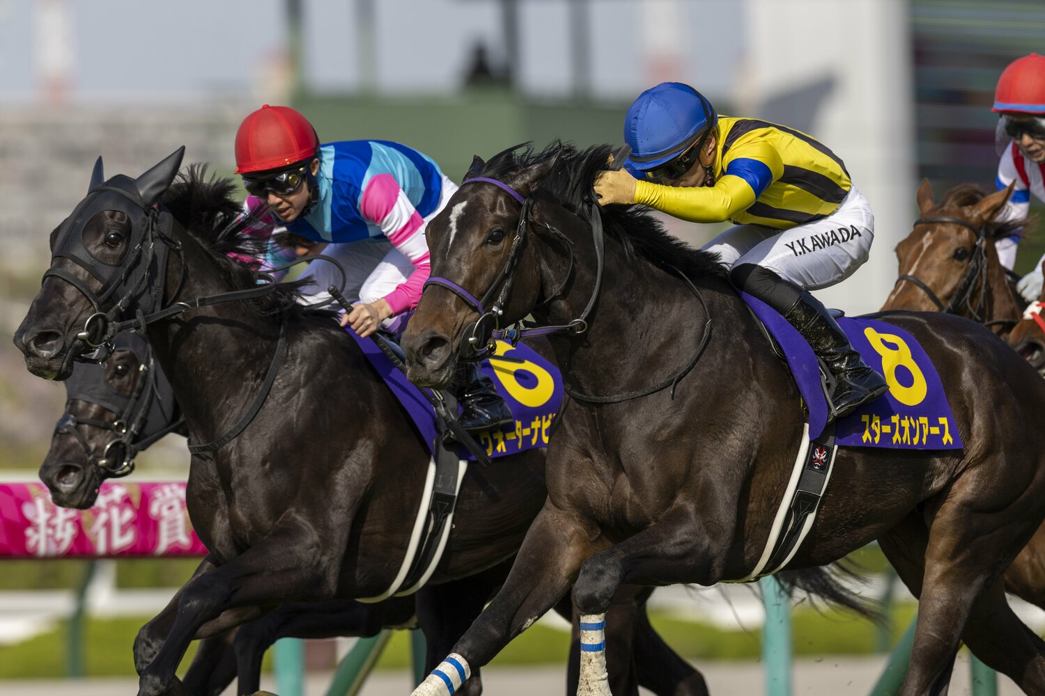 川田将雅の手綱に応えて馬群を割ったスターズオンアースは、先に抜け出したウォーターナビレラを鼻差で差し切った　©Photostud