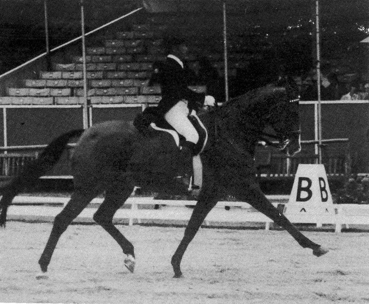 グッドウッドの競技会で5位に入賞した中俣修とアサマリュウの演技（提供：JRA）