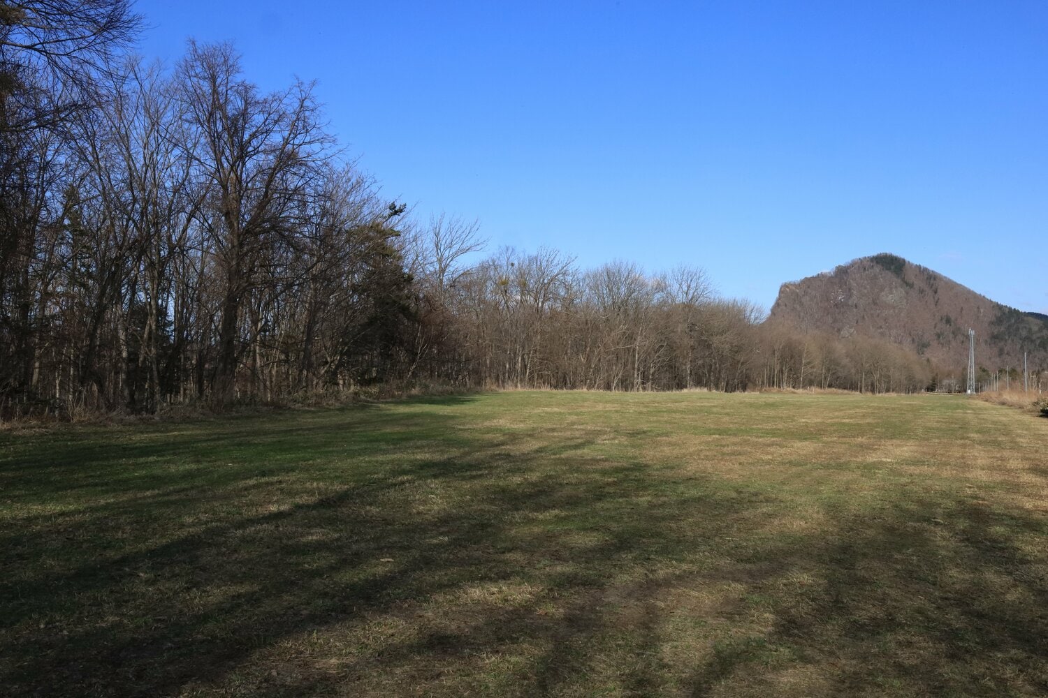 山田さんとSさんが身を隠したくぼ地から。当時は牧草が10cmほど伸びていた 撮影:風来堂