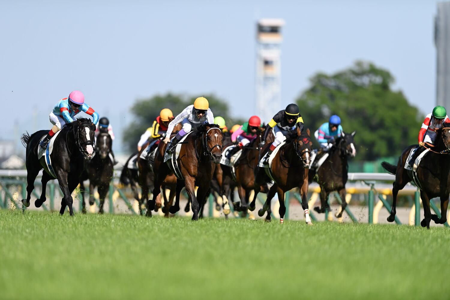 今年の日本ダービー最後の直線。右から2頭目の青帽がビーアストニッシド。先行策も8着と世代の頂点には届かなかった　©Keiji Ishikawa