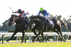 【昨年の予想を見る】2021年の平地GI全24レースの勝ち馬を大予想《5レース的中＆単勝回収率ほぼ100％》