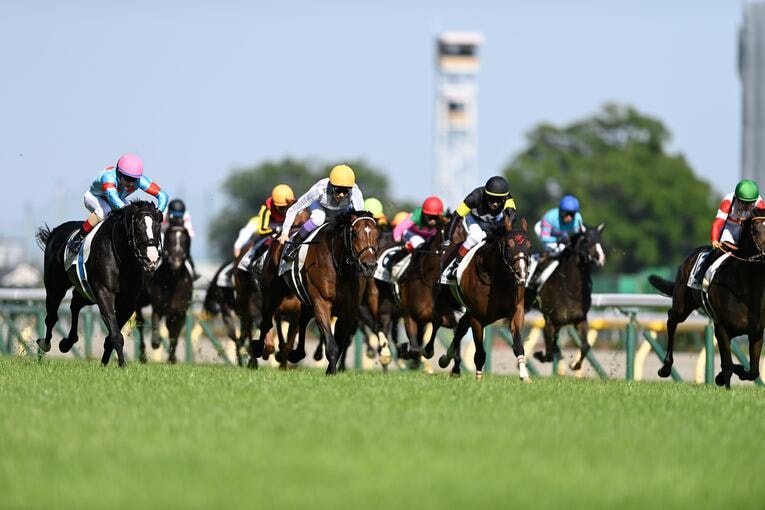 今年の日本ダービー最後の直線。右から2頭目の青帽がビーアストニッシド。先行策も8着と世代の頂点には届かなかった　©Keiji Ishikawa