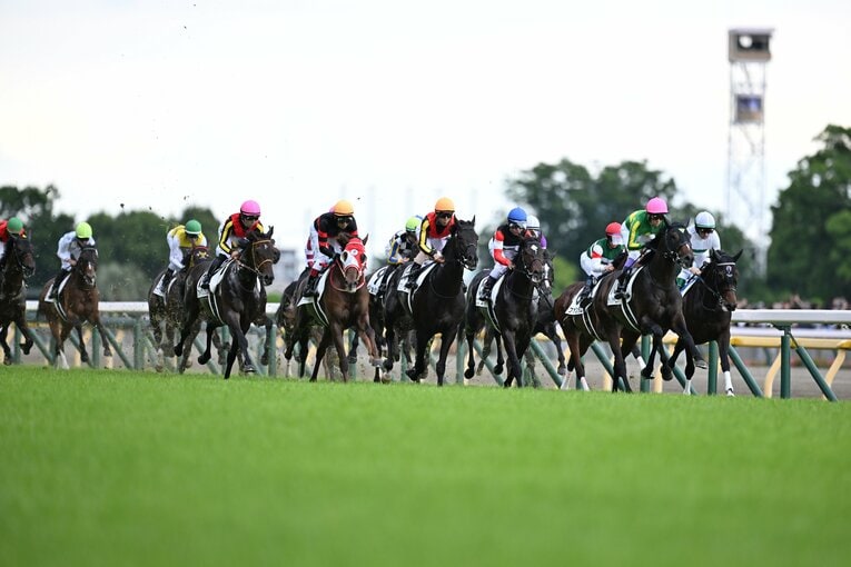 一度はハナに立ったサトノシャイニング　©Keiji Ishikawa