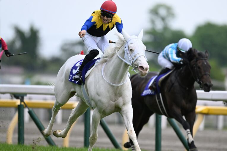 ソダシvsスターズオンアースは競馬史に残るレースとなるか？「ウオッカとダイワスカーレット」以来の“名牝ライバル誕生”を期待してしまう理由(39)