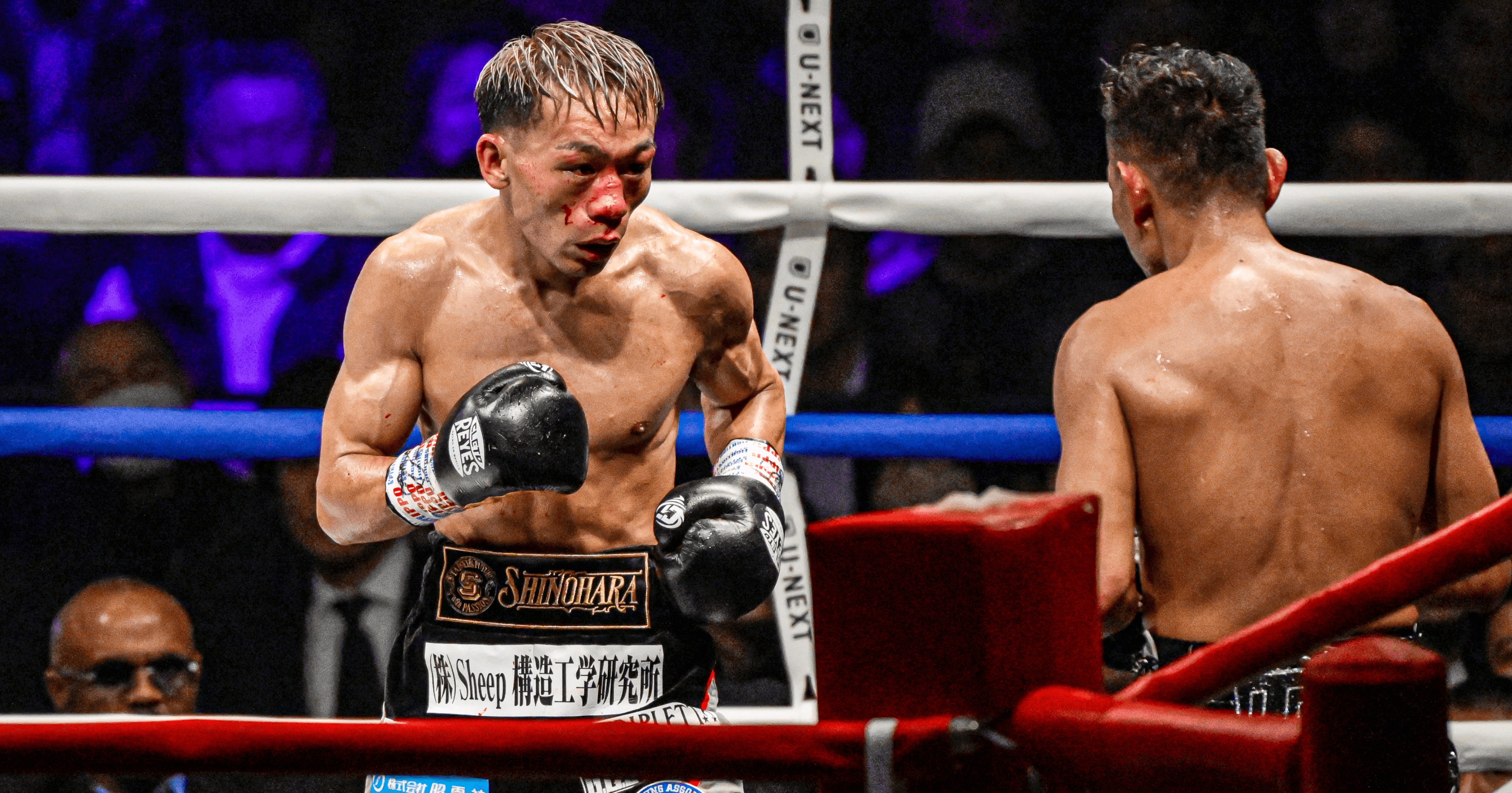 img_a3be1ddd07e17a5f5b08da0b1e