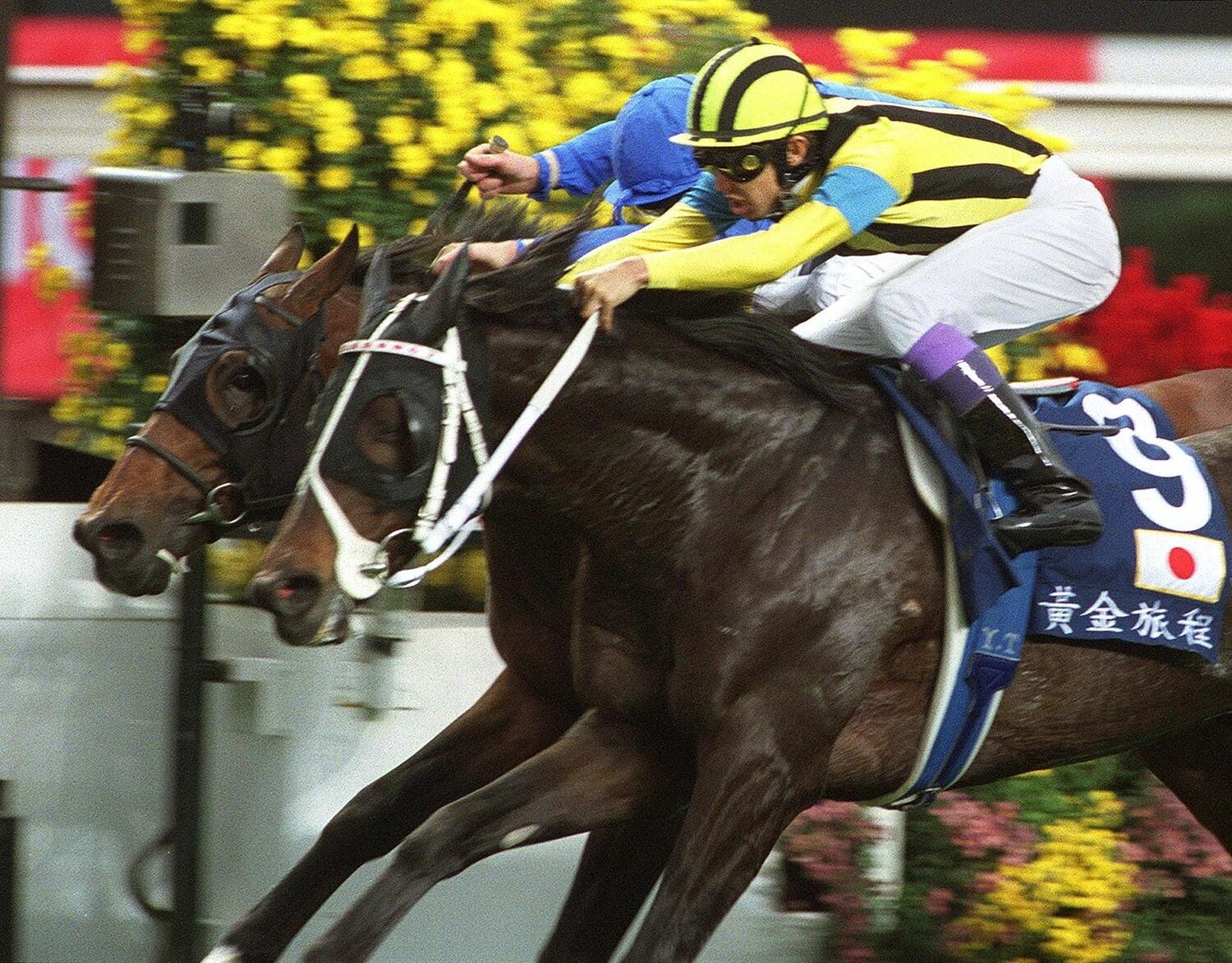 2001年、引退レースの香港ヴァーズでGI初制覇を飾ったステイゴールド　©AFP/AFLO