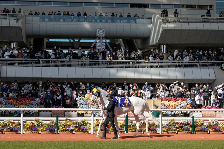 桜花賞のパドックにて。美しい白毛馬が、札幌記念のゴールを先頭で駆け抜けるか？　©Photostud