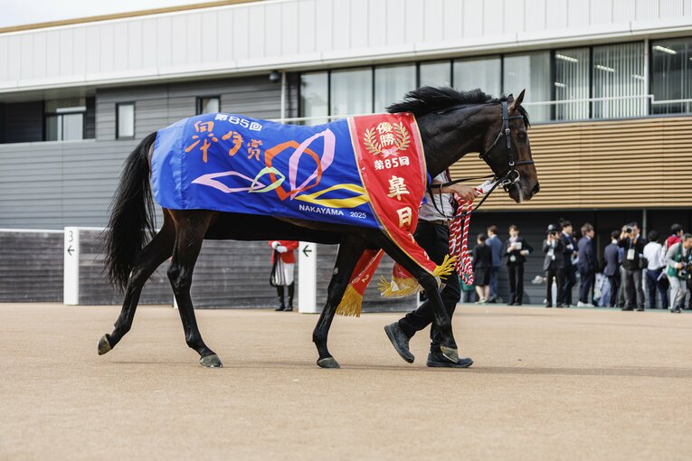 優勝レイをかけられたミュージアムマイル　©Kiichi Matsumoto