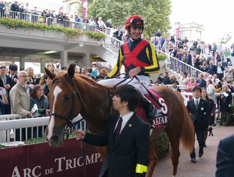 凱旋門賞で2着になった直後のオルフェーヴル　©Satoshi Hiramatsu